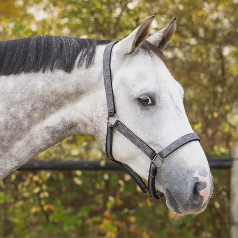 QHP Turnout Collection Halter and Lead Rope Set - Grey Reflective-1