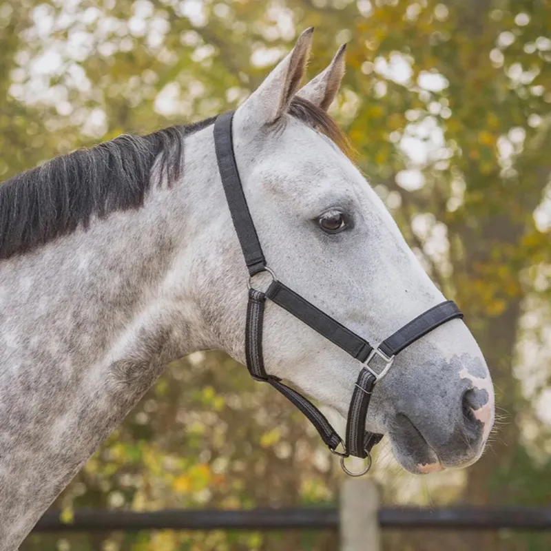 QHP Turnout Collection Halter and Lead Rope Set - Grey Reflective-2