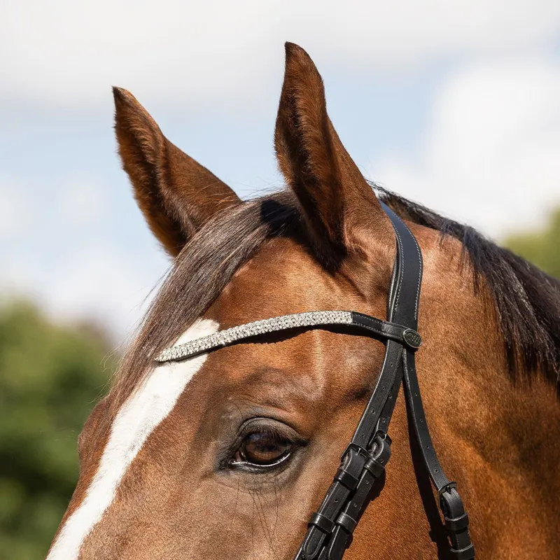 QHP Verbena Browband-Black/Silver-1