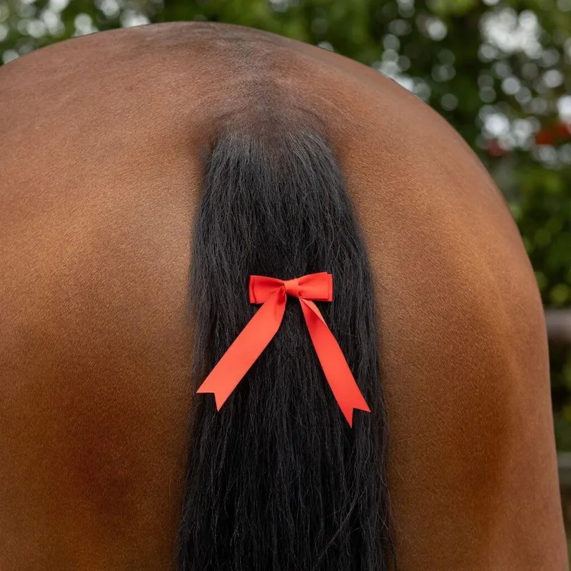 QHP Warning Tail Ribbon - Red-2