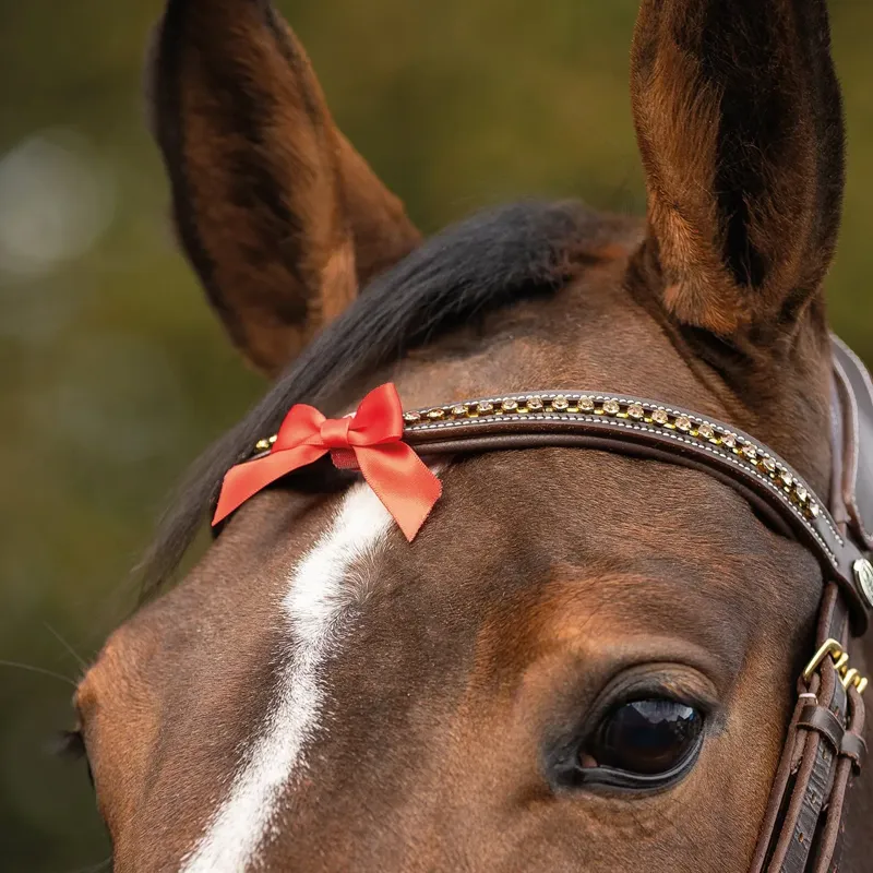 QHP Horse Warning Competition Tail Bow - Red