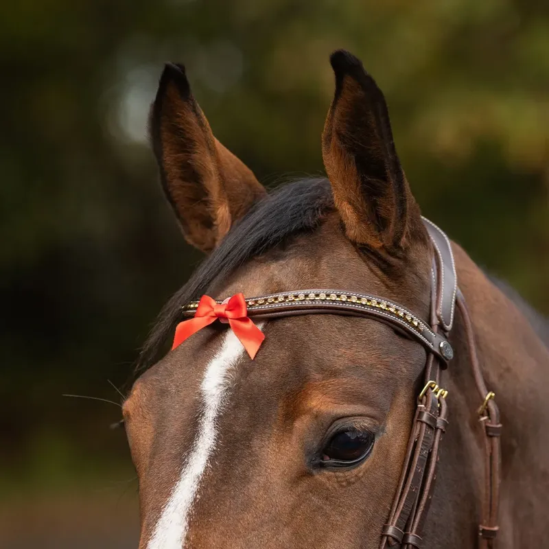 QHP Horse Warning Competition Tail Bow - Red-2
