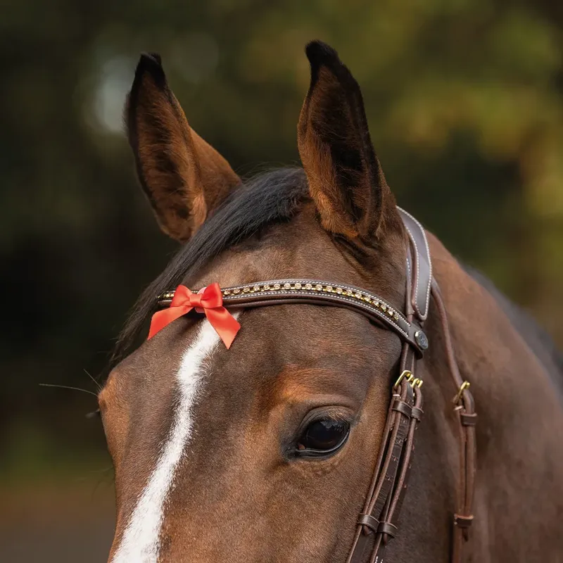 QHP Horse Warning Competition Tail Bow - Red-3