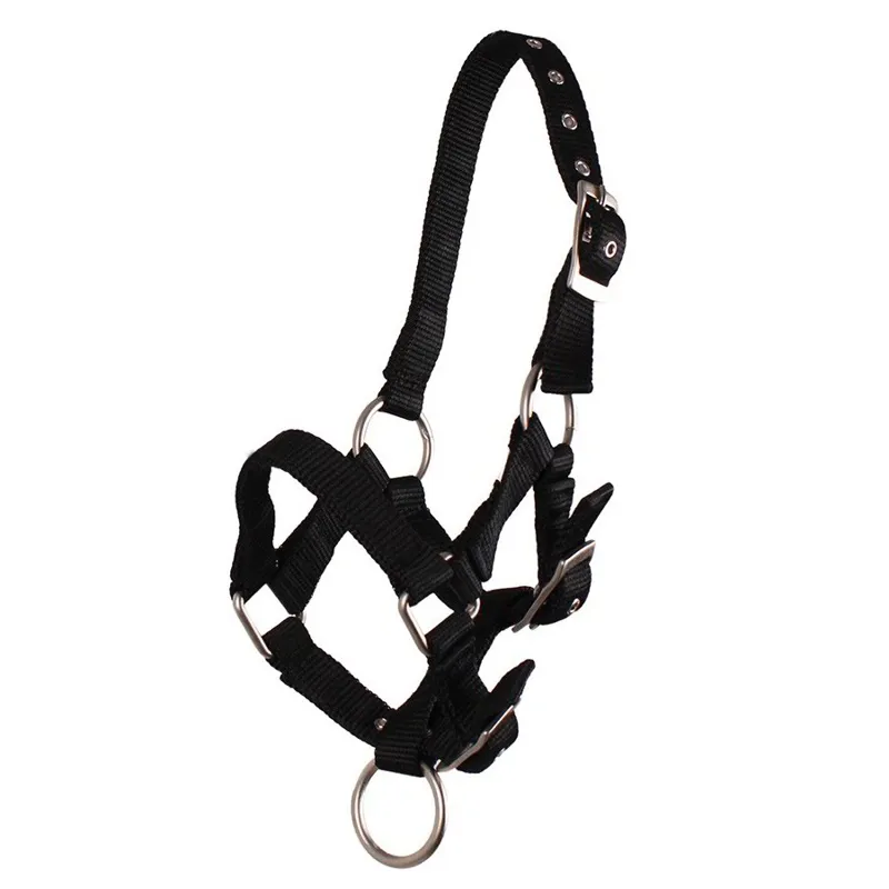 QHP Nylon Foal Halter - Black-1