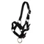 QHP Nylon Foal Halter - Black