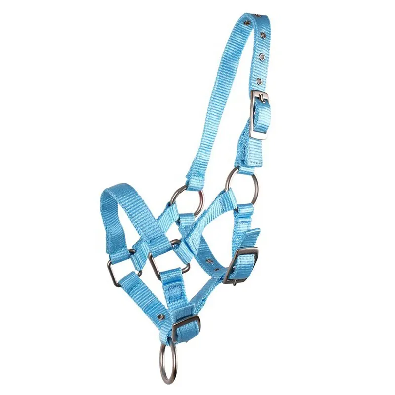 QHP Nylon Foal Halter - Light Blue
