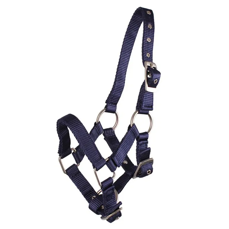 QHP Nylon Foal Halter - Navy