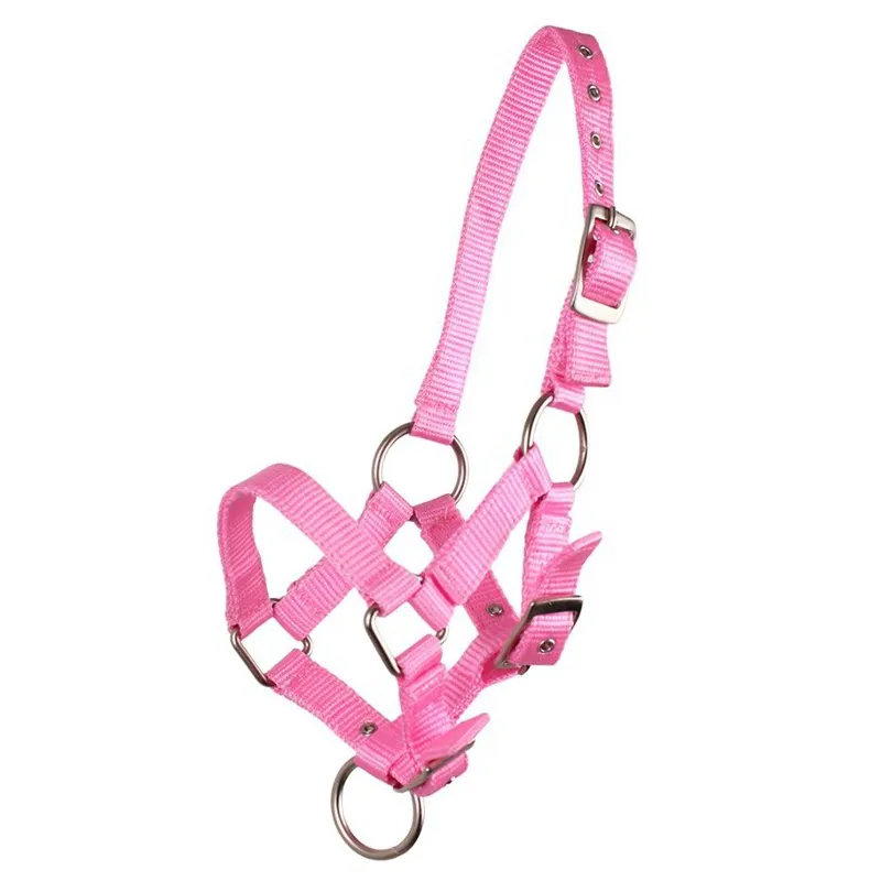 QHP Nylon Foal Halter - Pink