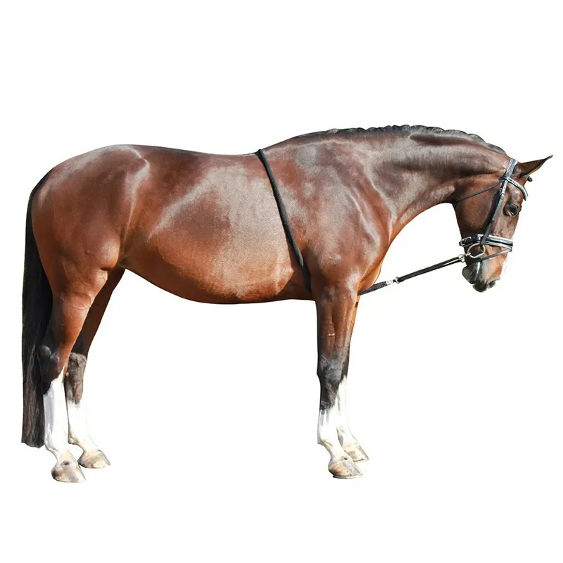QHP Lunge Line Aid - Fuchsia-1