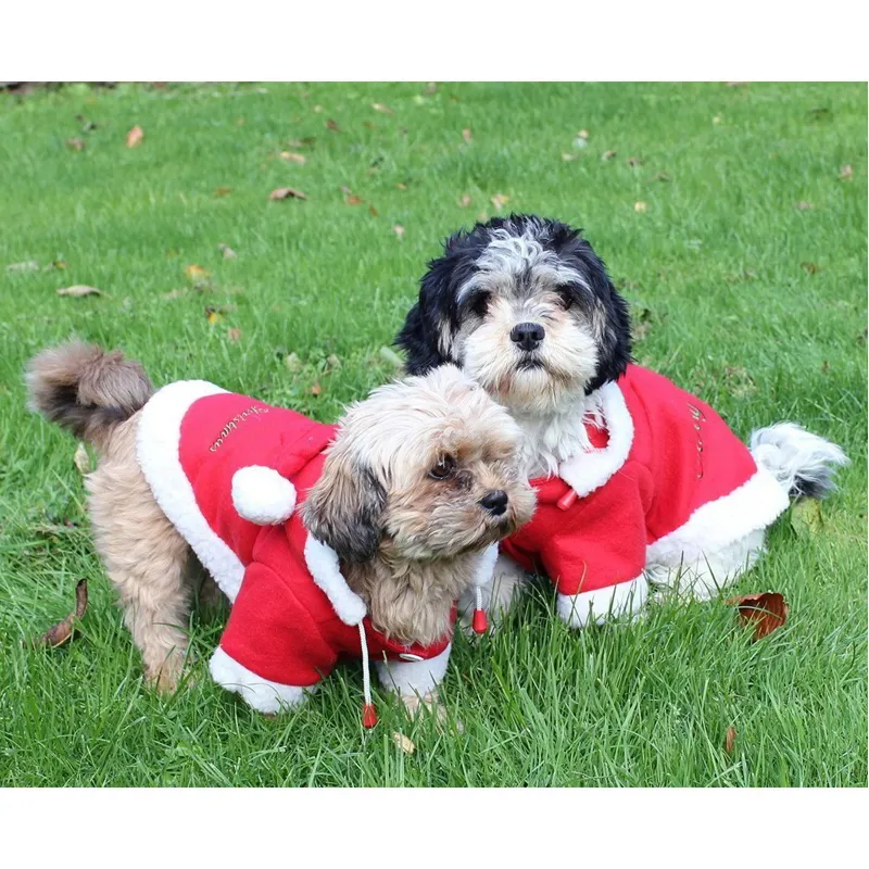 QHP Christmas Dog Coat-2