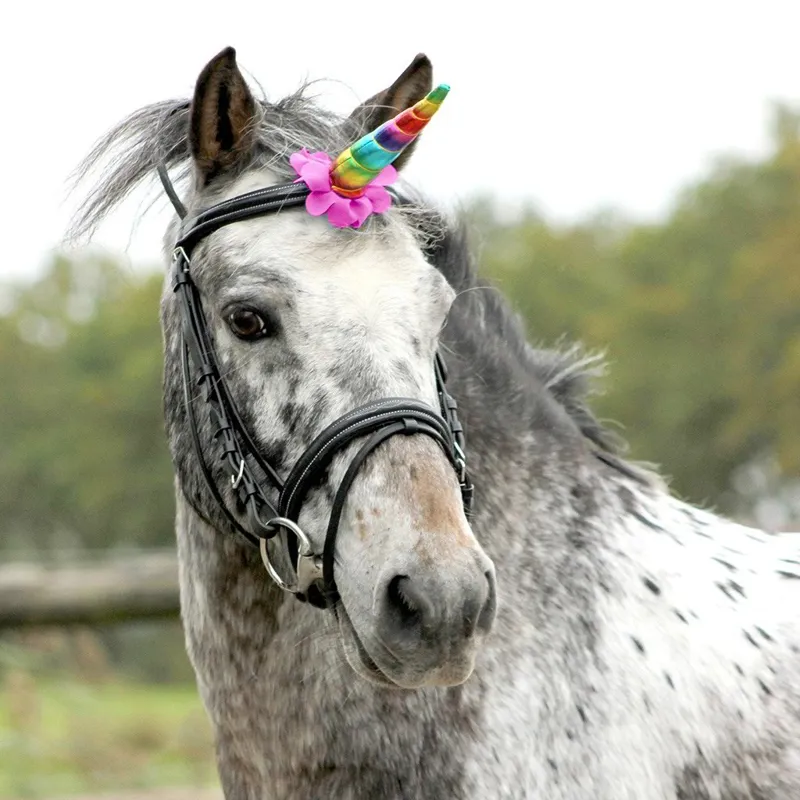 QHP Horse Unicorn Horn - Rainbow-1