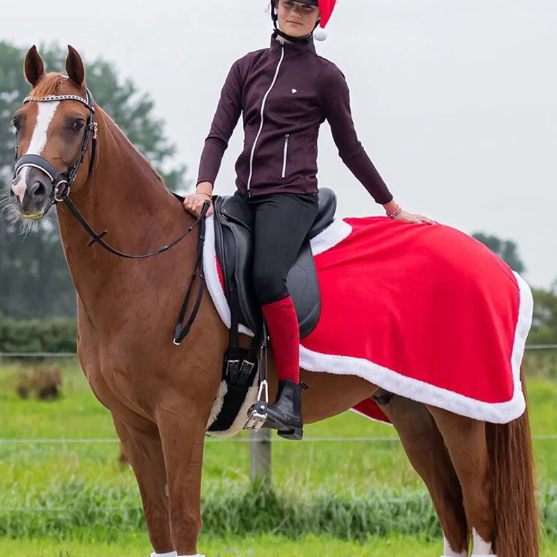 QHP Christmas Exercise Sheet - Red/White