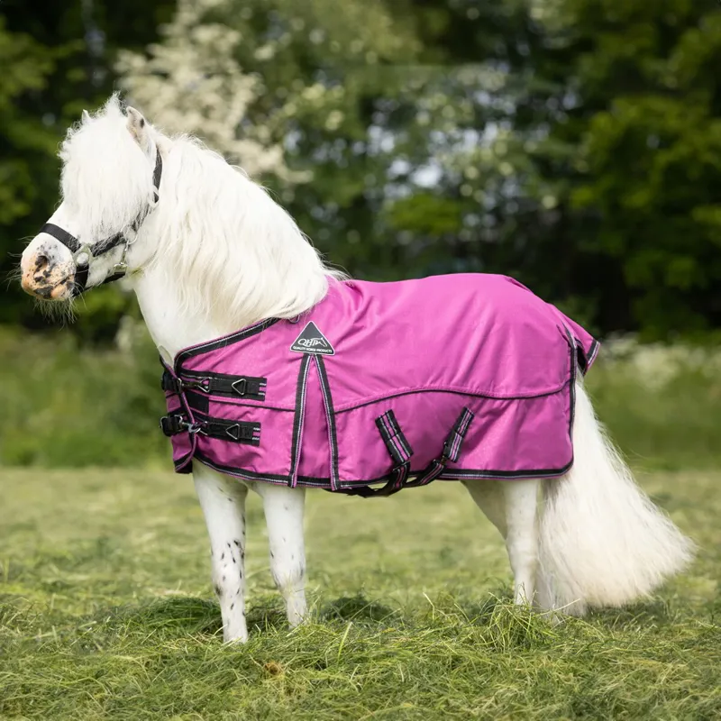 QHP Falabella 0g Turnout Blanket - Festival