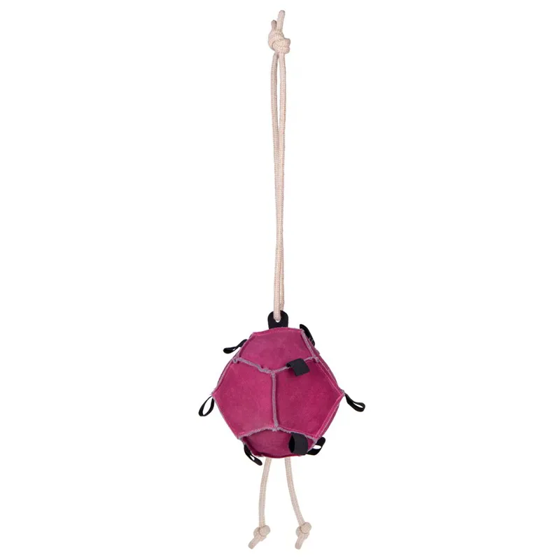 QHP Horse Toy Ball - Pink