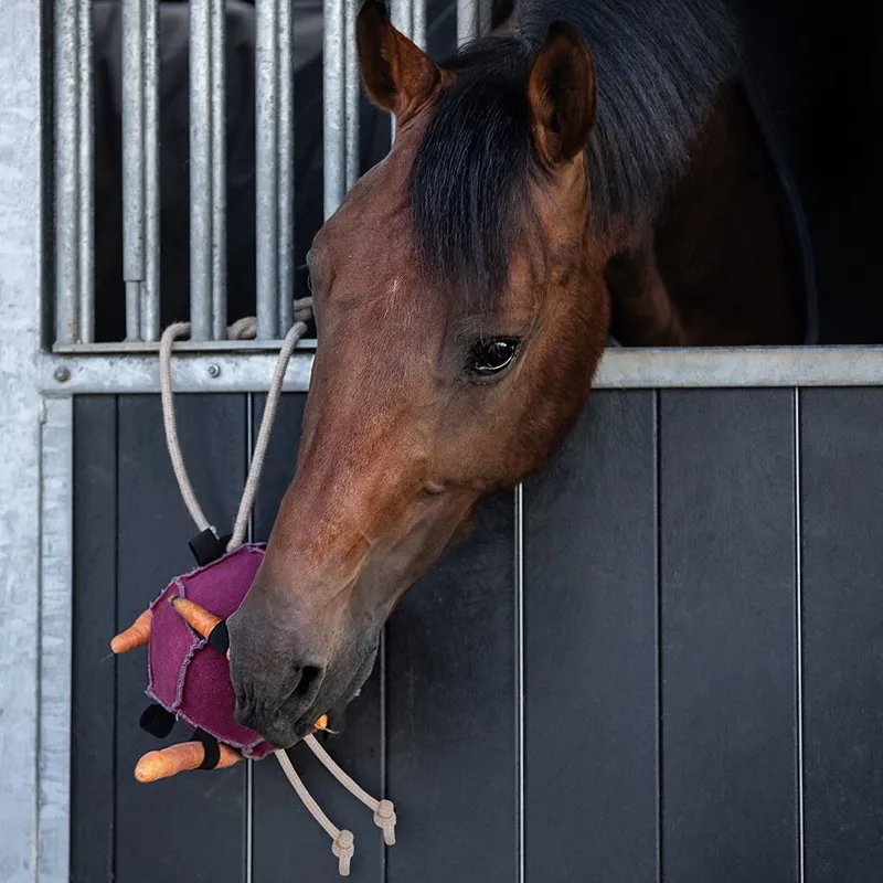 QHP Horse Toy Ball - Pink-1