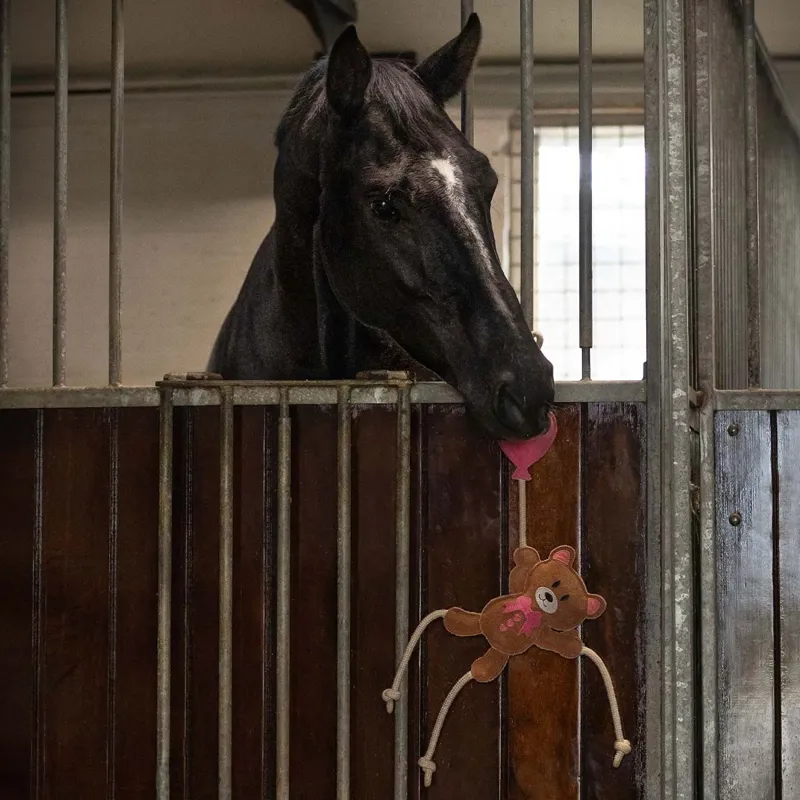 QHP Horse Toy - Valentine Bear-1