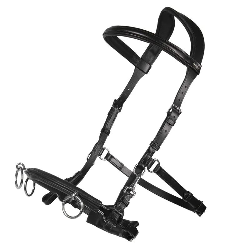 QHP Leather Anatomical Lunging Cavesson - Black