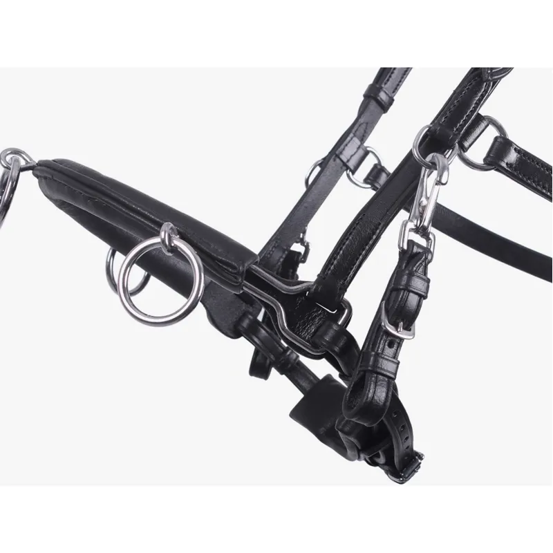 QHP Leather Anatomical Lunging Cavesson - Black-1