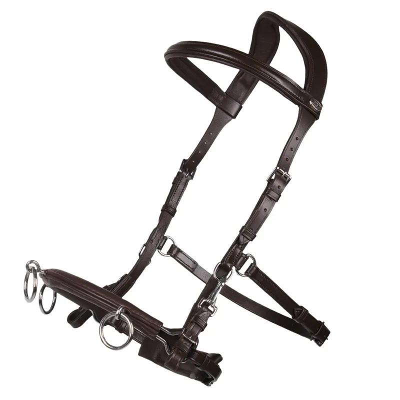 QHP Leather Anatomical Lunge Cavesson - Brown