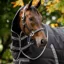 Rambo 200g Stable Neck Cover - Black/Thunderstorm Grey/Silver