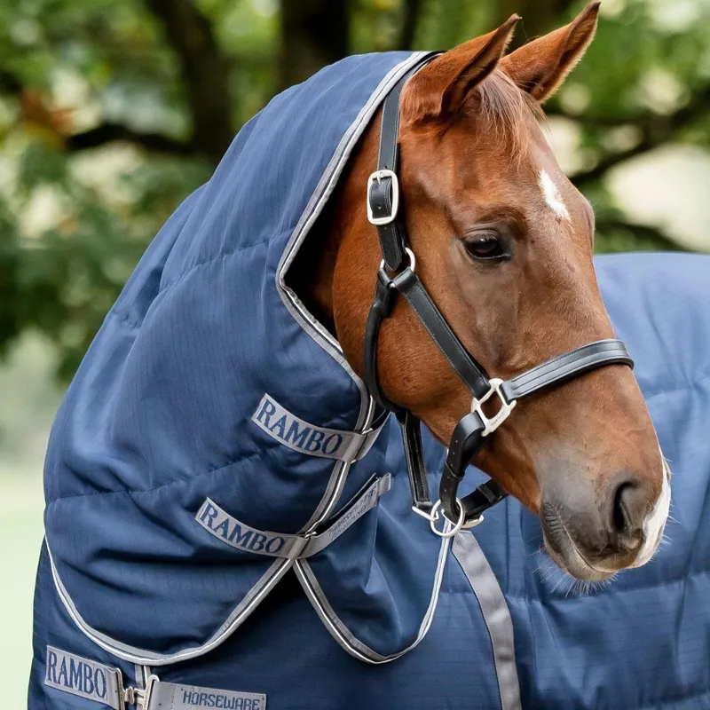 Rambo 200g Stable Hood. Navy/Thunderstorm Gray/Silver-1