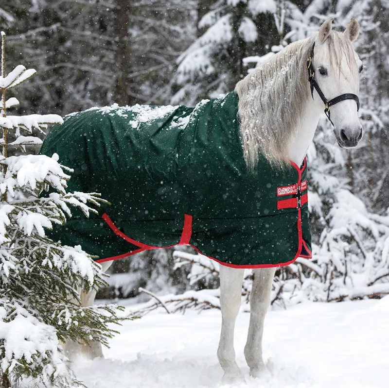 Rambo Original 400g Standard Neck Turnout Blanket - Green/Red