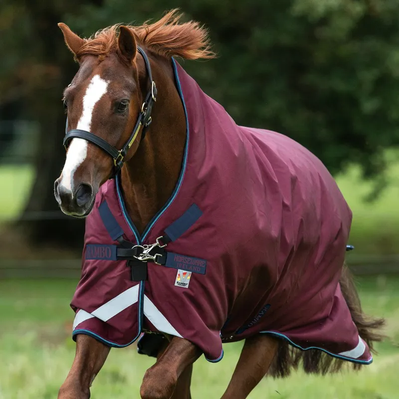 Rambo Wug 200g High Neck Turnout Blanket - Burgundy/Burgundy/Teal/Navy