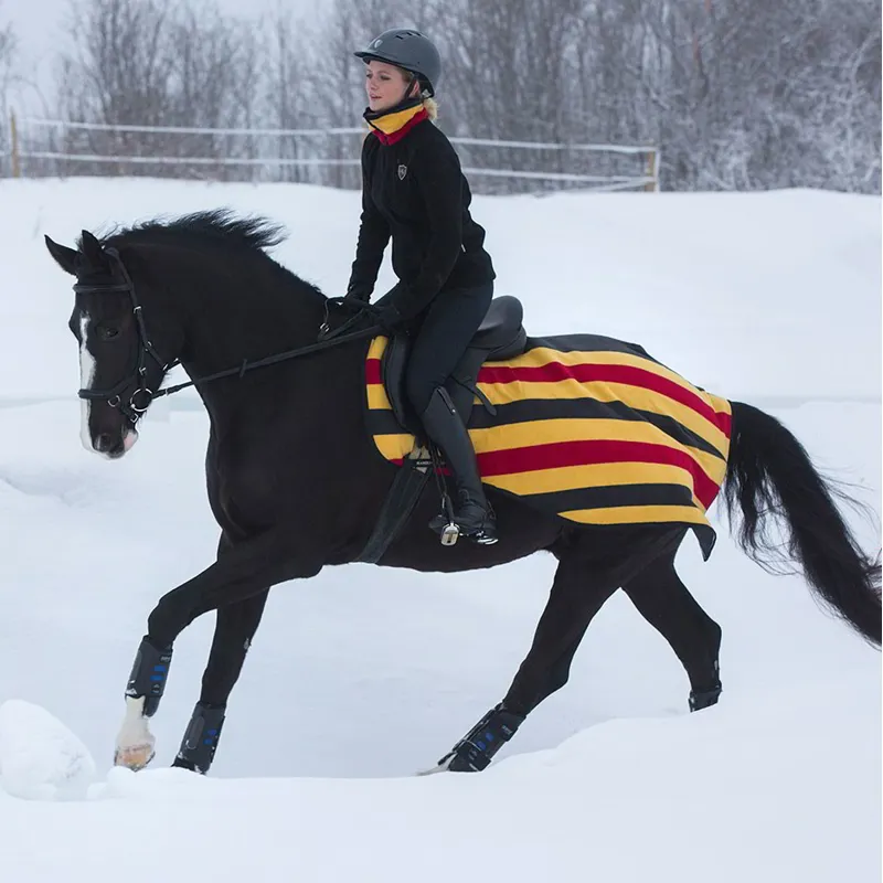 Rambo Newmarket Exercise Sheet - Witney Gold-1