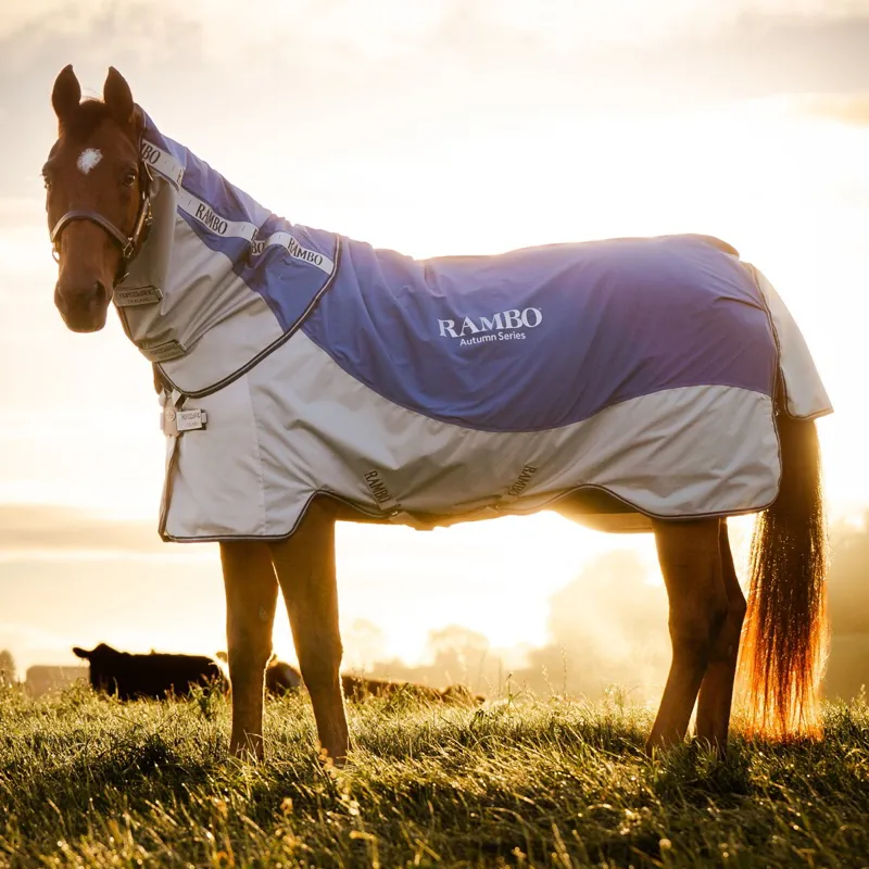 Rambo Autumn Series Detach-A-Neck Turnout Blanket - Navy/Grey-8