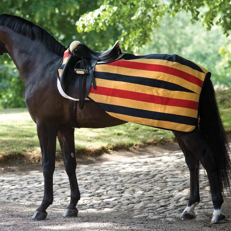 Rambo Newmarket Exercise Sheet - Witney Gold-2