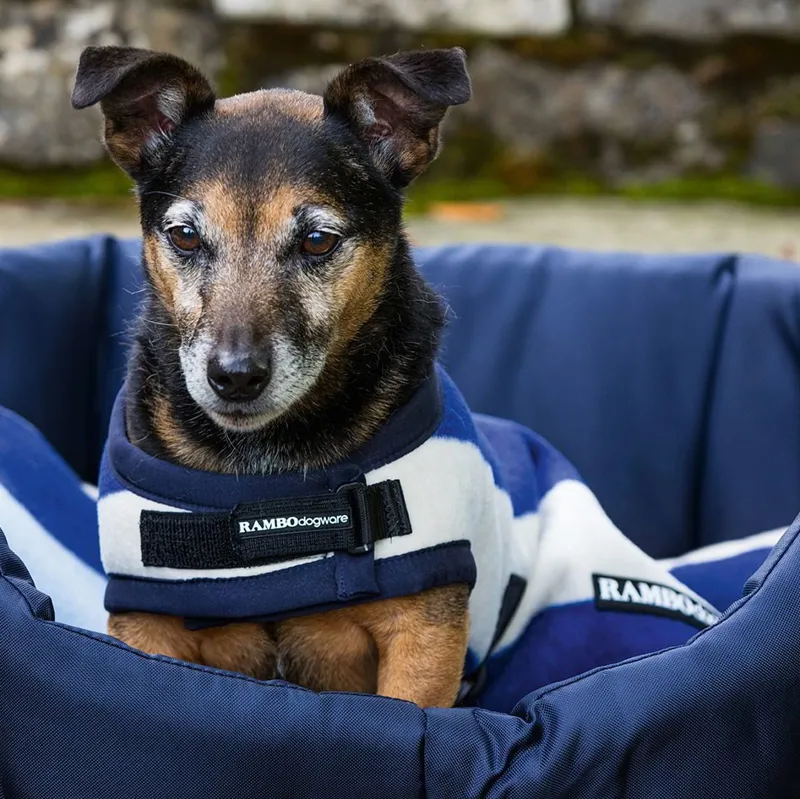 Rambo Deluxe Fleece Dog Coat - Whitney Stripe Navy