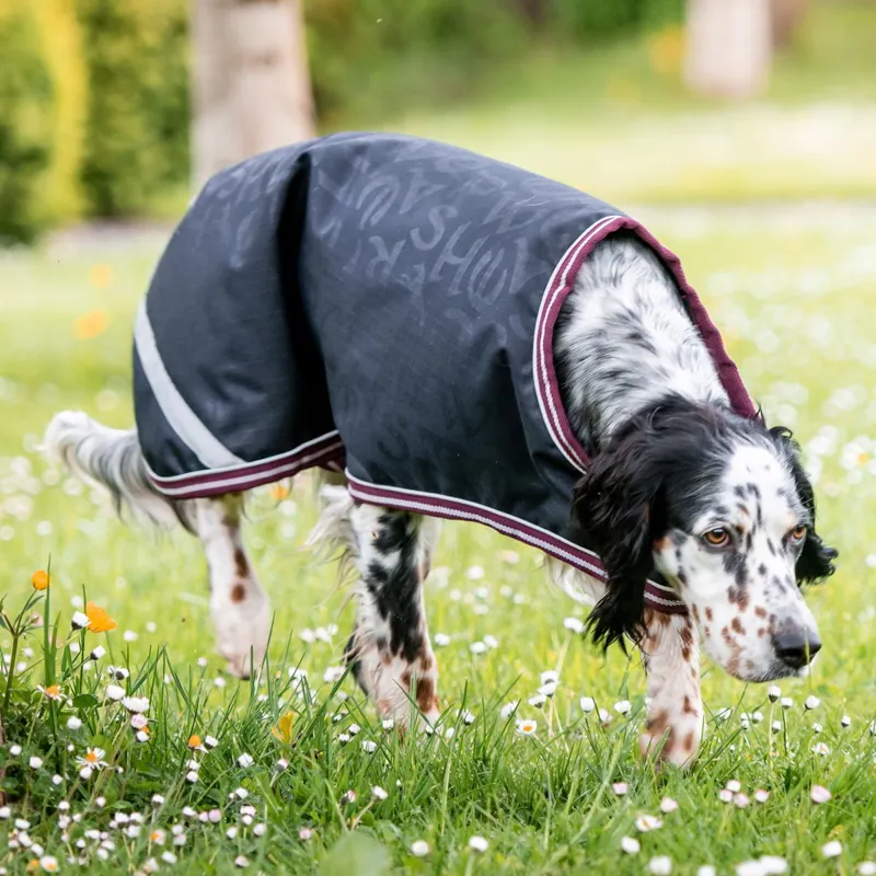 Amigo Ripstop Dog Blanket - Navy HW Print/Burgundy