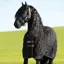 Rambo 400g Standard Neck Stable Blanket - Black/Black/White