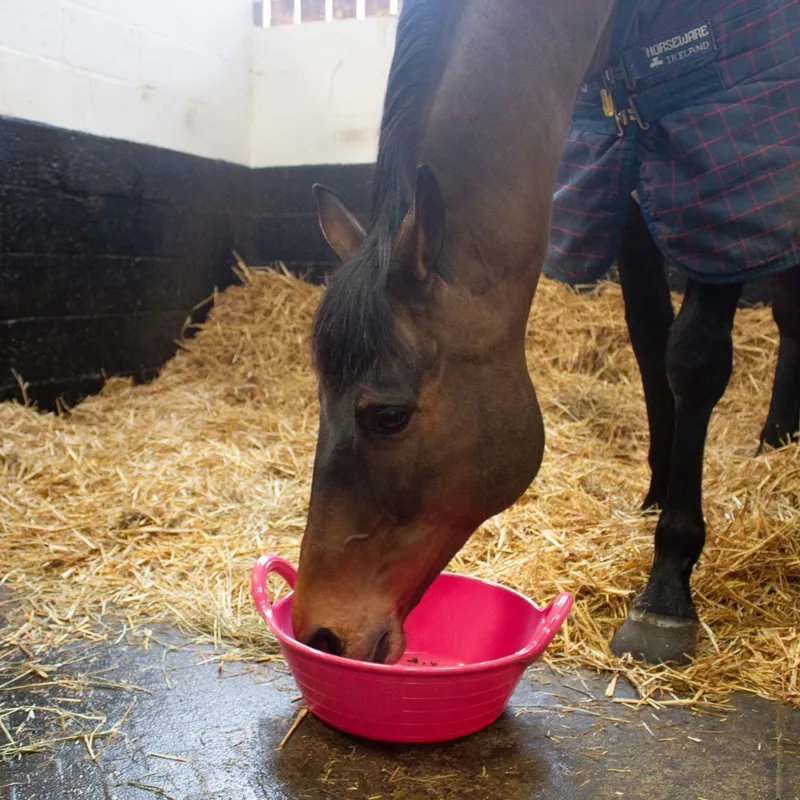 Red Gorilla Plas Small Feed Skip in Pink-2