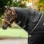 Rambo 100g Stable Hood - Black/Thunderstorm Grey/Silver