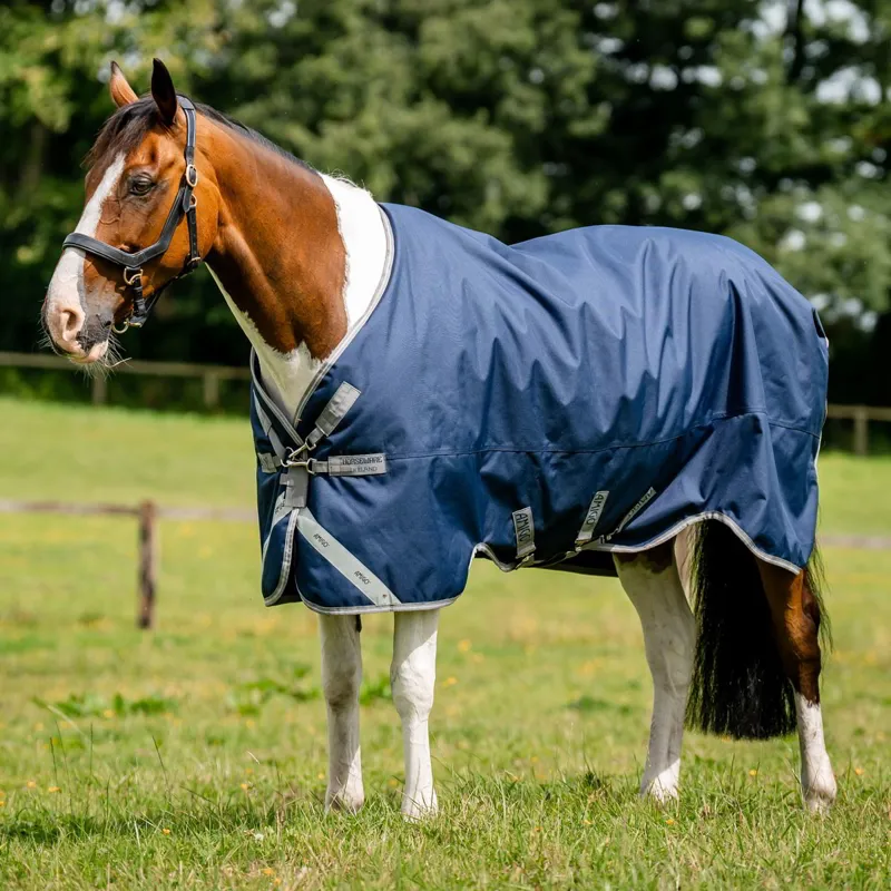 Amigo 1200D 250g Standard Neck Turnout Blanket - Navy/Titanium