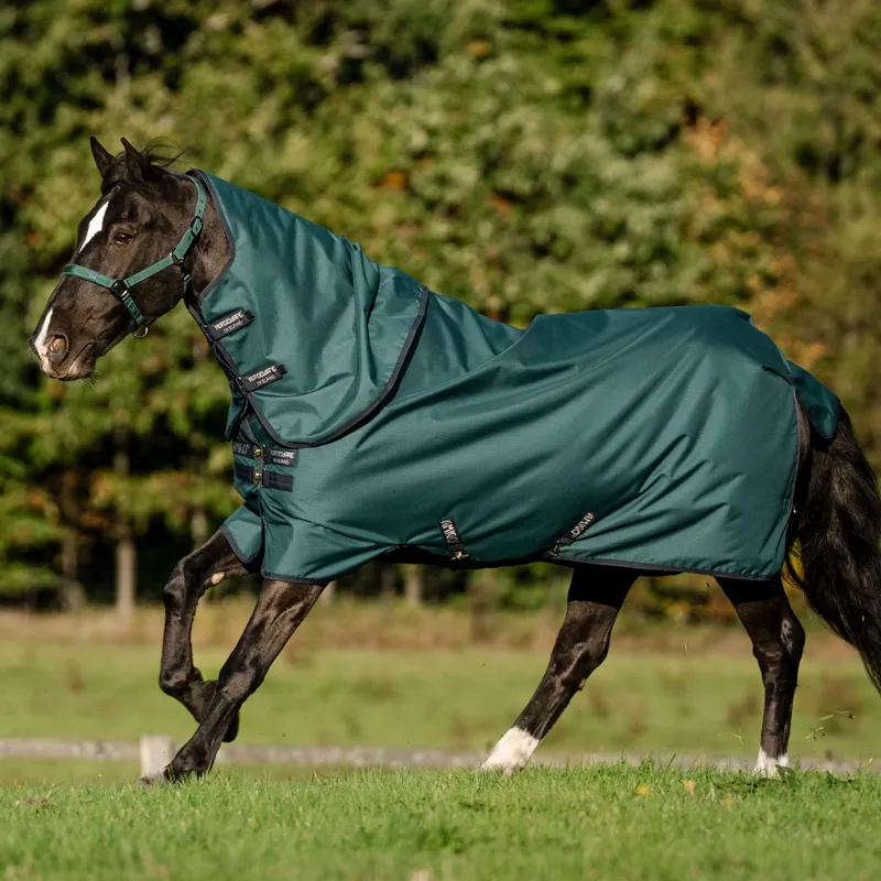 Amigo Ripstop 900D Plus 100g Turnout Blanket - Dynasty Green/Navy