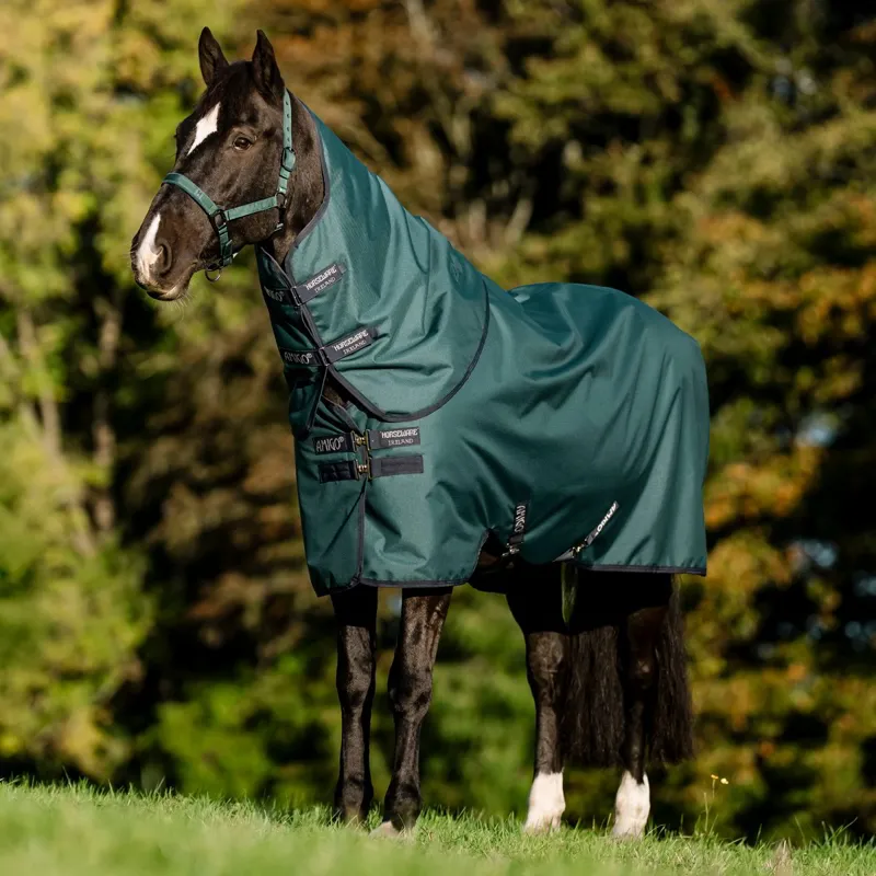 Amigo Ripstop 900D Plus 100g Turnout Blanket - Dynasty Green/Navy-1