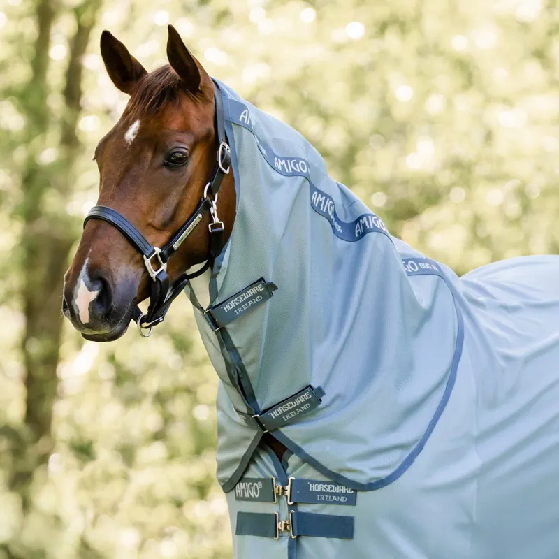 Amigo Bug Rug Plus Fly Sheet - Heather Blue/Blue/Silver-1