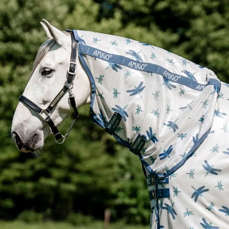 Amigo Integrated Combo Fly Sheet - Dragonfly Print/Silver Blue/Sage-1