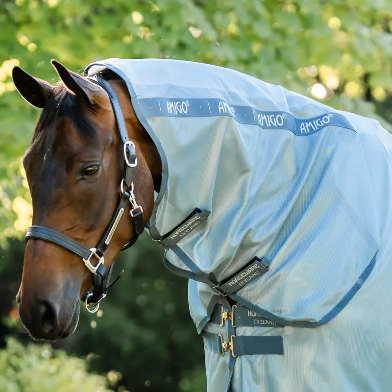 Amigo Integrated Combo Neck Fly Sheet - Heather Blue/Blue/Silver-1