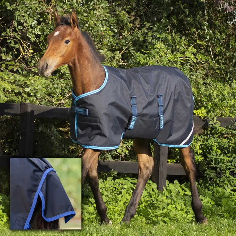 Amigo Foal Ripstop 900D 200g Turnout Blanket - Black/Classic Blue