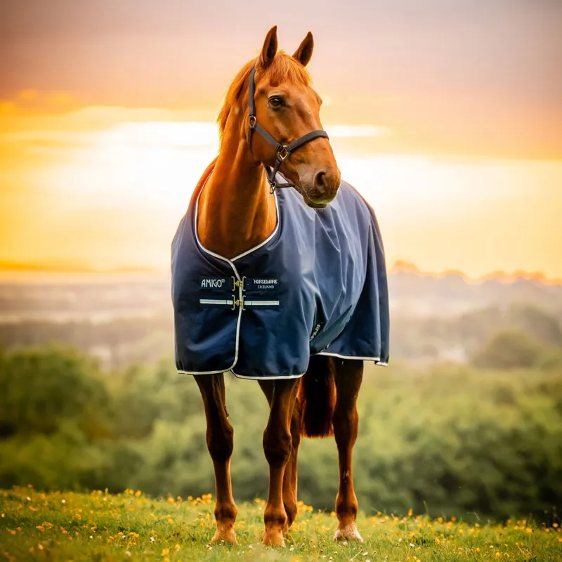 Amigo Pony Ripstop 900D 0g Turnout Blanket - Witney Navy