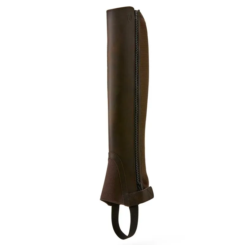 Ariat Scout Adults Half Chaps - Dark Brown