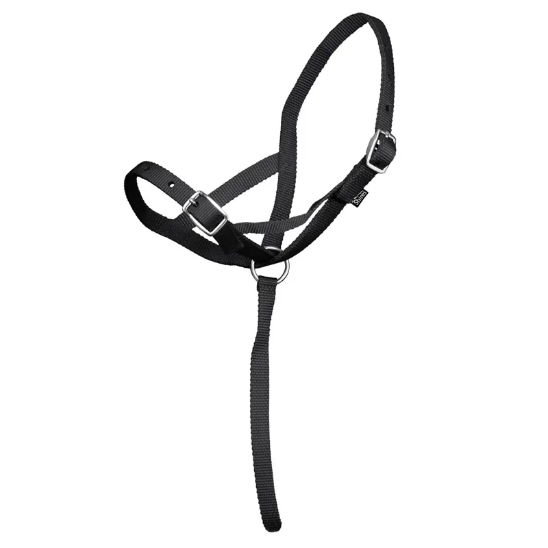 ARMA Foal Halter - Black-1