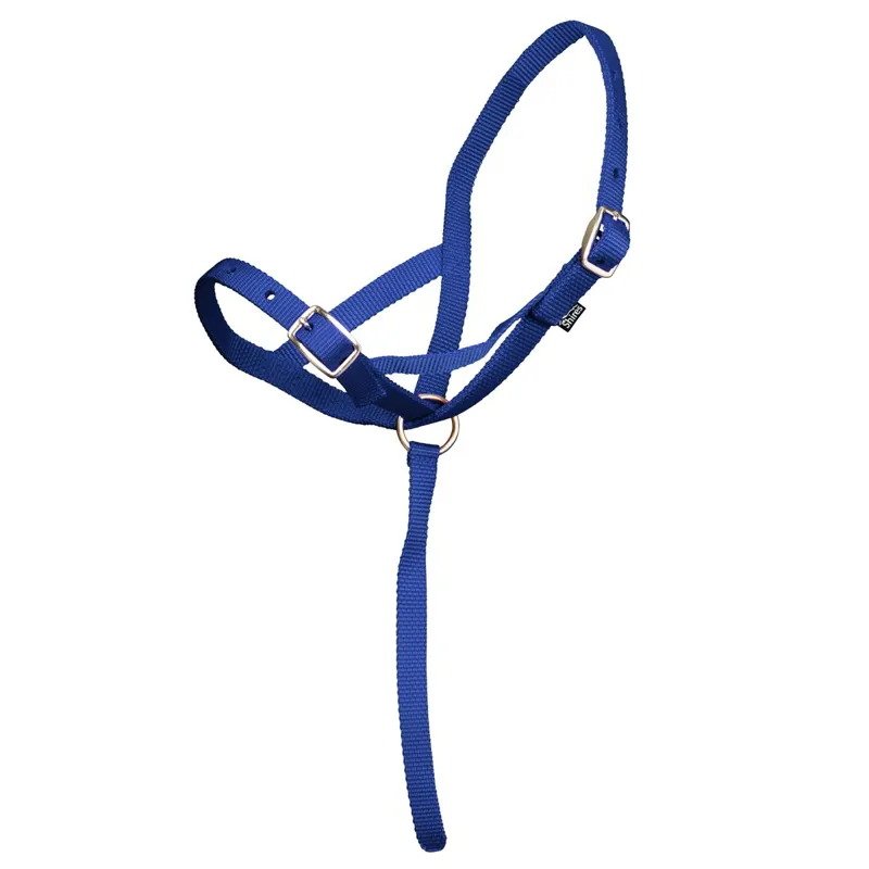 ARMA Foal Halter - Navy-1