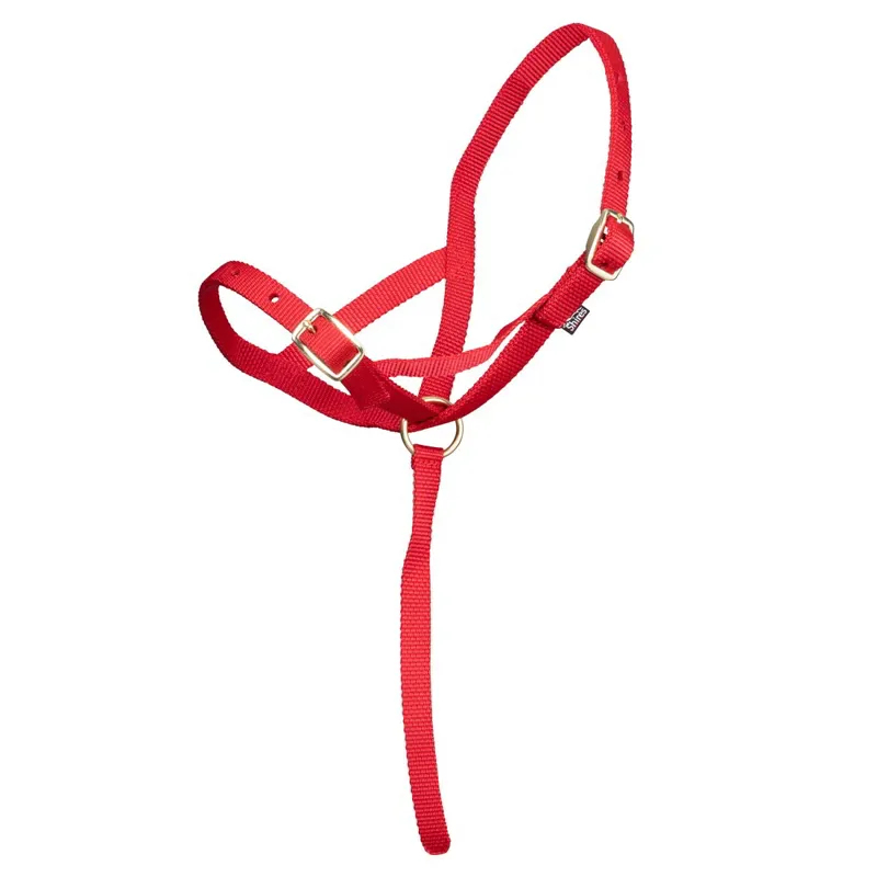 ARMA Foal Halter - Red-1