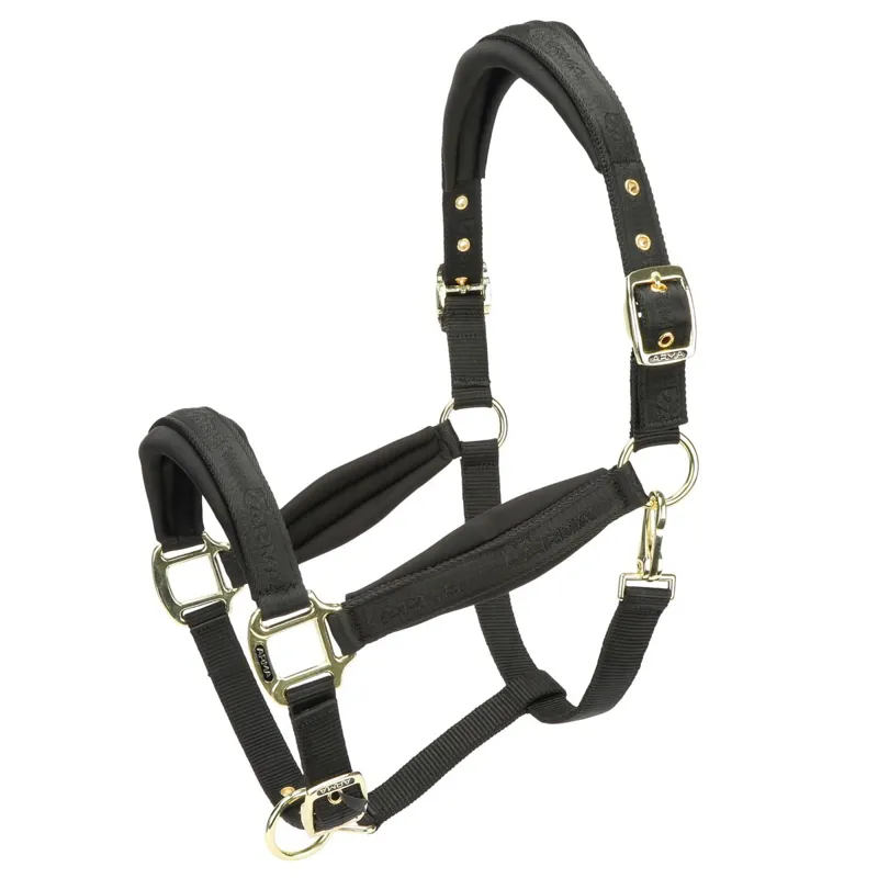 ARMA Padded Halter - Black