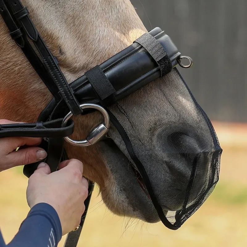 Equilibrium Net Relief Muzzle Nose Net - Black