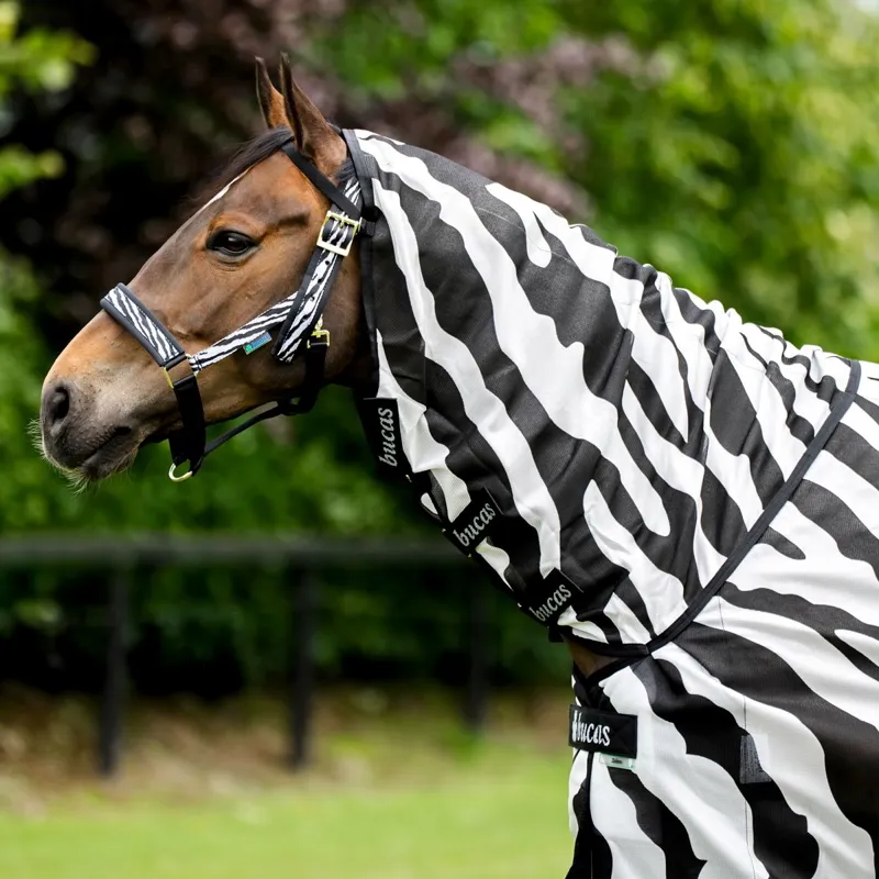 Bucas Buzz-Off Full Neck Fly Sheet - Zebra Print-4